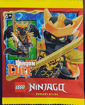 LEGO Ninjago Dragon Cole Paper Bag L0002206 фото