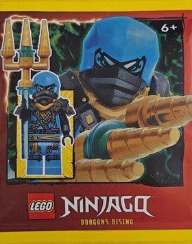 Коллекционная минифигурка LEGO Ninjago Nya (892412), полибег 892412 фото