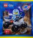 Конструктор с минифигуркой LEGO City Astronaut with Quad (952407), полибег 952407 фото 1