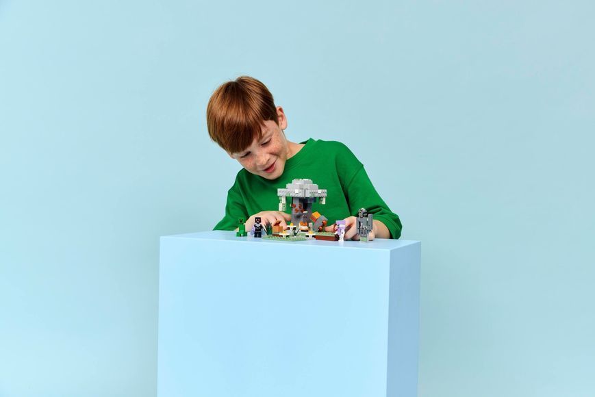 Конструктор LEGO Minecraft Бледный сад (21586) 21586 фото