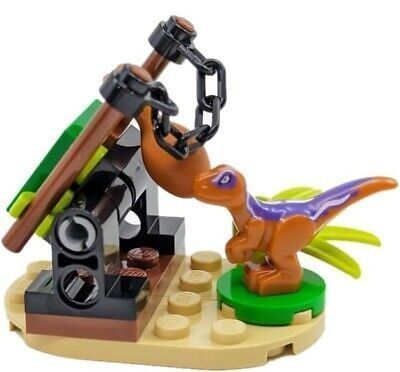 LEGO Jurassic World: Раптор и ловушка &mdash; полибег (122326) 122326 фото