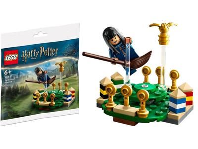 Конструктор LEGO Harry Potter Quidditch Practice (30651) полібег 30651 фото