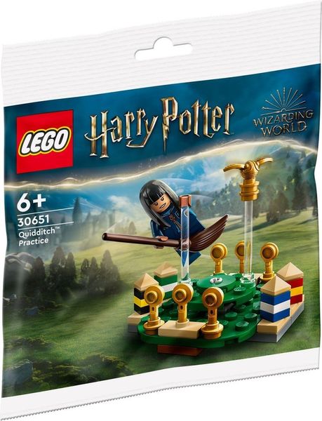 Конструктор LEGO Harry Potter Quidditch Practice (30651) полибег 30651 фото