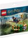 Конструктор LEGO Harry Potter Quidditch Practice (30651) полибег 30651 фото 1