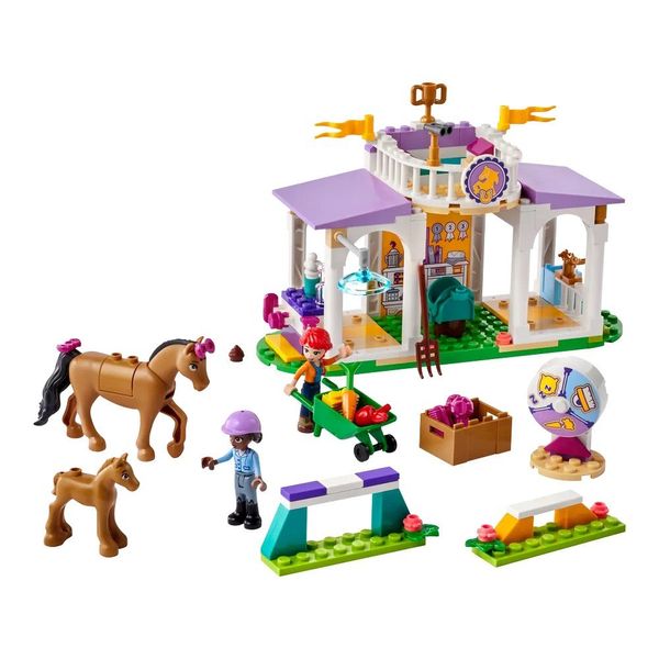 Конструктор LEGO Friends Тренировка лошади (41746) 41746 фото