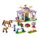 Конструктор LEGO Friends Тренировка лошади (41746) 41746 фото 2